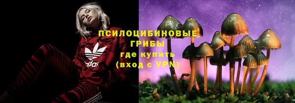 дмт Балабаново