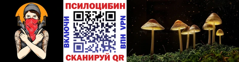 Псилоцибиновые грибы Cubensis  darknet телеграм  Нариманов 