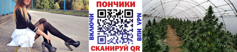Марихуана White Widow  купить наркоту  Нариманов 